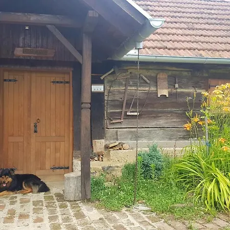 Farmica, Bed&Breakfast, Bazen Izdvojen Nekoliko Minuta Hoda Thurdevac Exterior photo