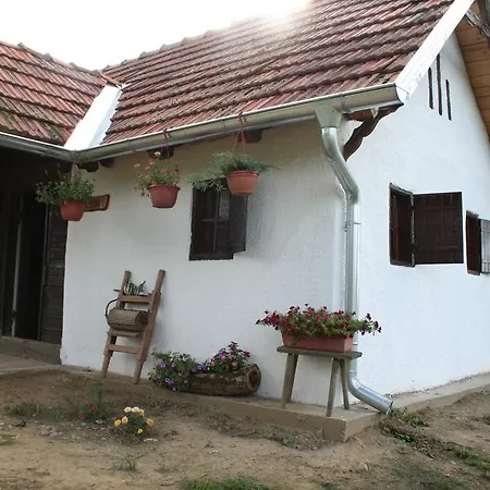 Farmica, Bed&Breakfast, Bazen Izdvojen Nekoliko Minuta Hoda Thurdevac Room photo