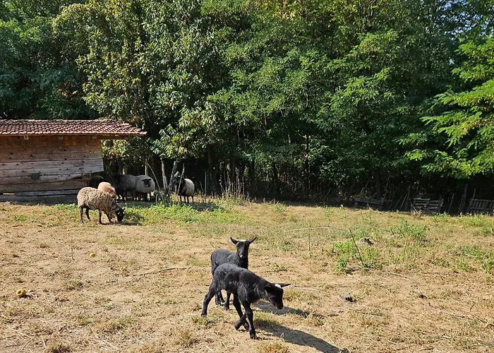Farmica, Bed&Breakfast, Bazen Izdvojen Nekoliko Minuta Hoda