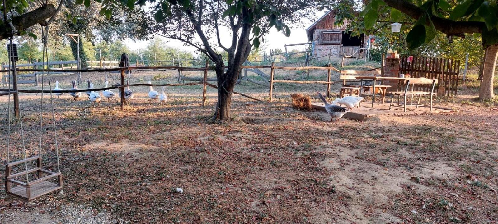 Country house Farmica, Bed&breakfast, Bazen Izdvojen Nekoliko Minuta Hoda