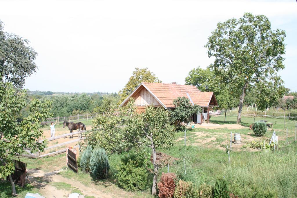 Farmica, Bed&breakfast, Bazen Izdvojen Nekoliko Minuta Hoda Country house *