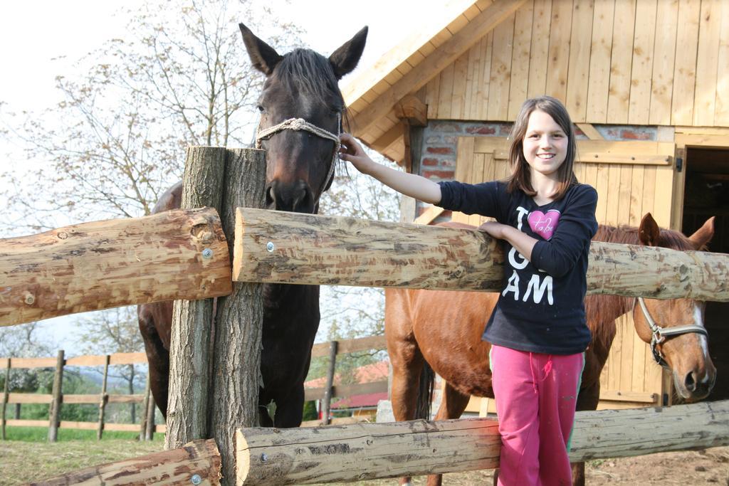 Country house Farmica, Bed&breakfast, Bazen Izdvojen Nekoliko Minuta Hoda *