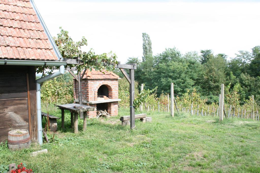 Farmica, Bed&breakfast, Bazen Izdvojen Nekoliko Minuta Hoda Country house Thurdevac