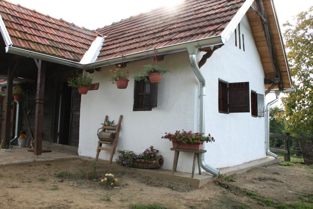 Farmica, Bed&breakfast, Bazen Izdvojen Nekoliko Minuta Hoda Country house Thurdevac