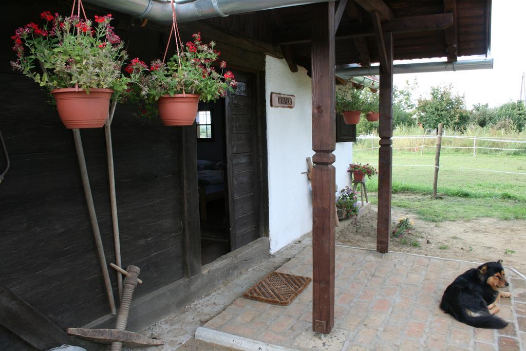 Farmica, Bed&breakfast, Bazen Izdvojen Nekoliko Minuta Hoda * Thurdevac